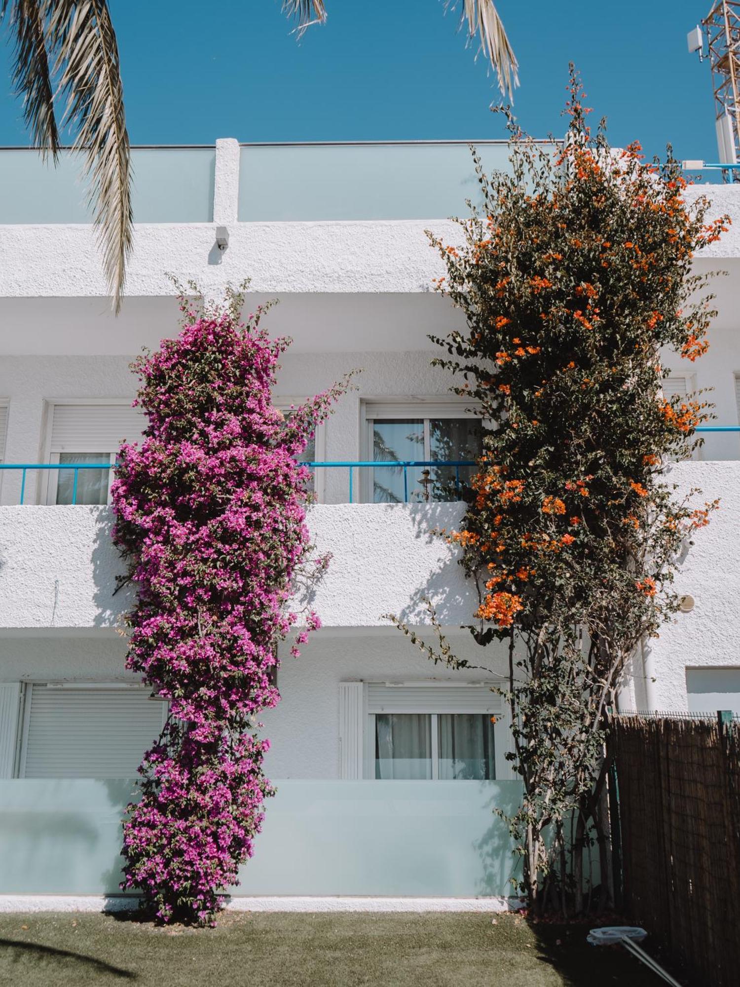 Hostal Las Gaviotas Del Cabo San Jose  Bagian luar foto